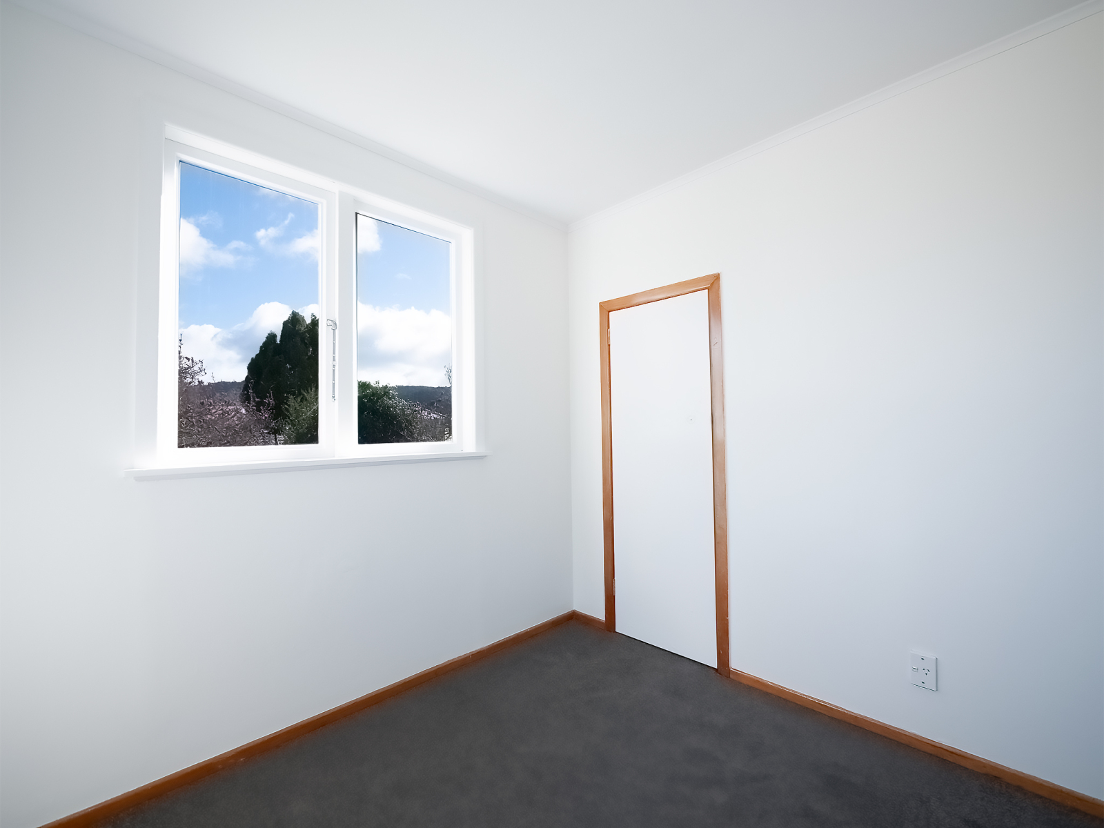 New Roof - Polished Floors - 1,002m² Freehold